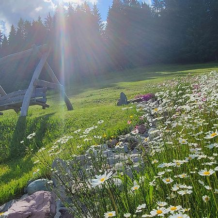 Ferienhof Obertenn Hochfilzen Eksteriør billede