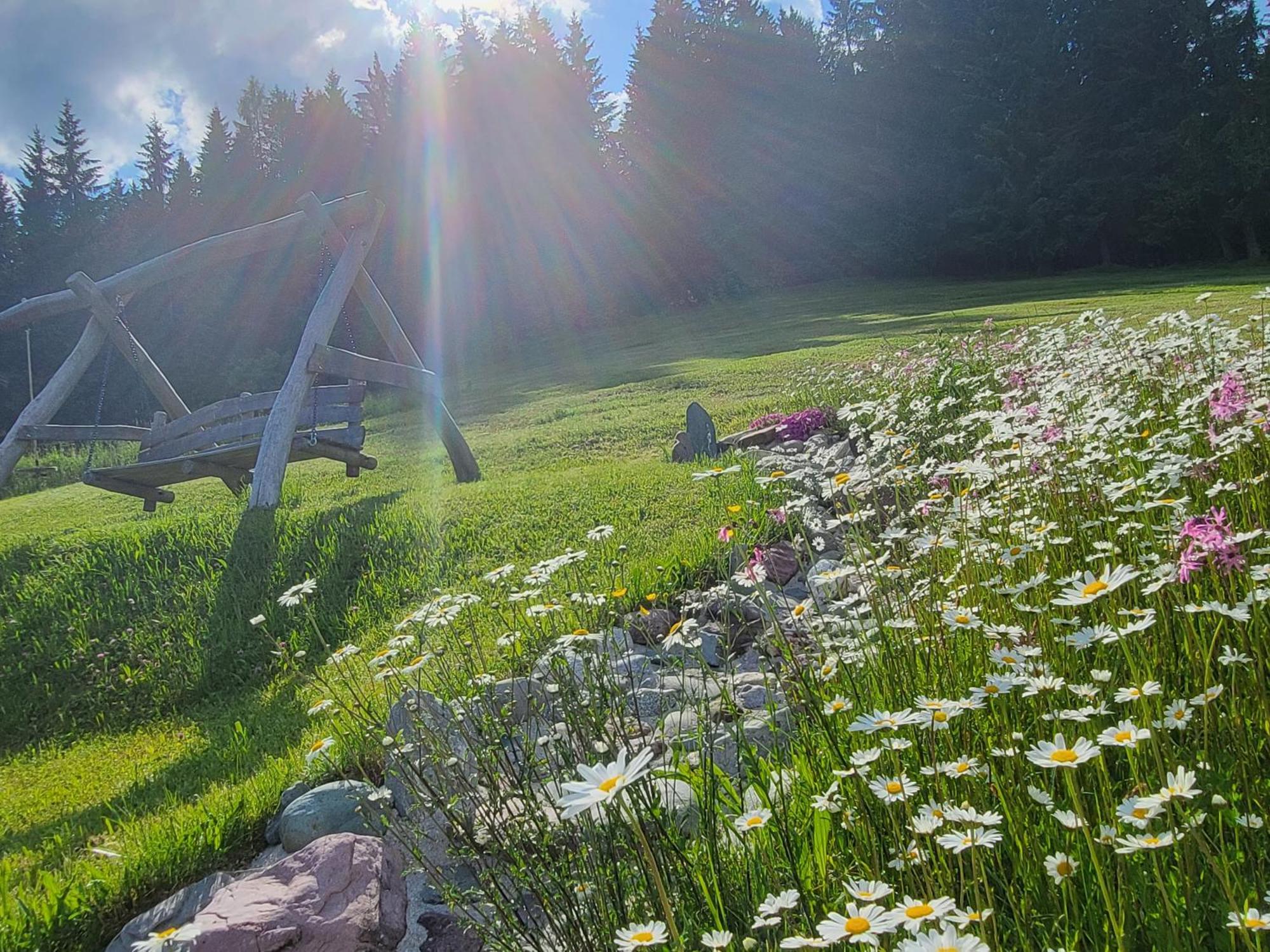 Ferienhof Obertenn Hochfilzen Eksteriør billede