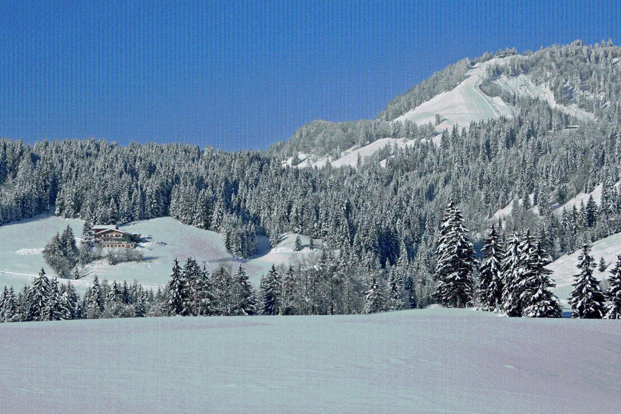 Ferienhof Obertenn Hochfilzen Eksteriør billede